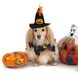 Halloween Hat & Collar Suit for Cats and Small Dogs – Pumpkin & Spider Pattern with Jingle Bells