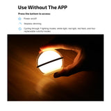 Mini RGB Sphere Desk Lamp – App Controlled 360° Night Light with Music Sync & Timer