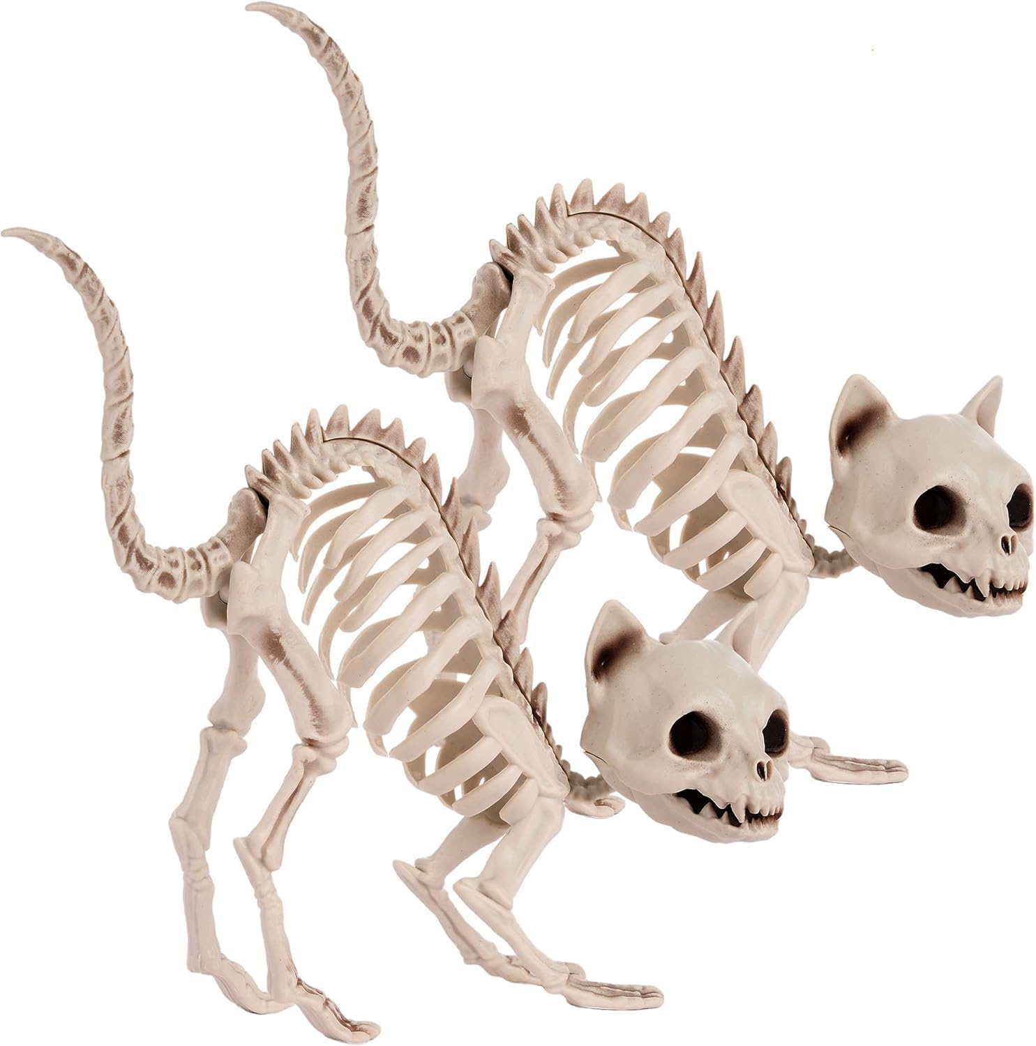 2PCS Halloween Skeleton Cats – Realistic Weatherproof Outdoor Decorations for Yard, Lawn & Patio