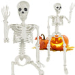 3ft Full Body Halloween Skeleton Decoration – Posable Joints, Realistic Design & Durable Plastic Build
