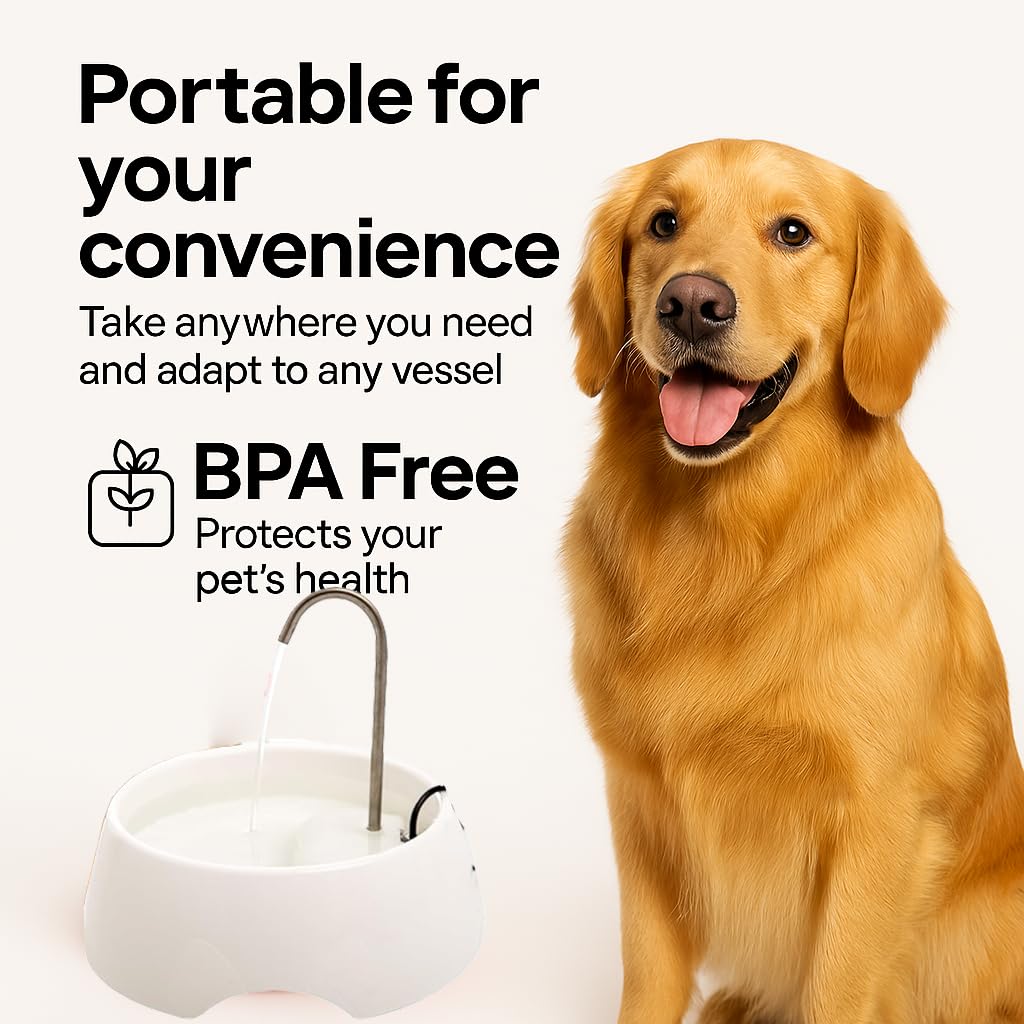 AMICUS Aqua Mini Cat & Dog Water Fountain with Stainless Steel Faucet, Activated Carbon Filter & USB Powered Quiet Pump – White