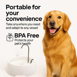AMICUS Aqua Mini Cat & Dog Water Fountain with Stainless Steel Faucet, Activated Carbon Filter & USB Powered Quiet Pump – White