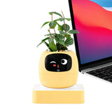Interactive AI Smart Plant Pot with Animated Display, Gesture Recognition, and Intelligent Plant Care Assistant for Indoor Plants