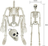 36" Poseable Halloween Skeleton Decoration – Full-Body Plastic Skeleton with Movable Joints & Hanging Hook