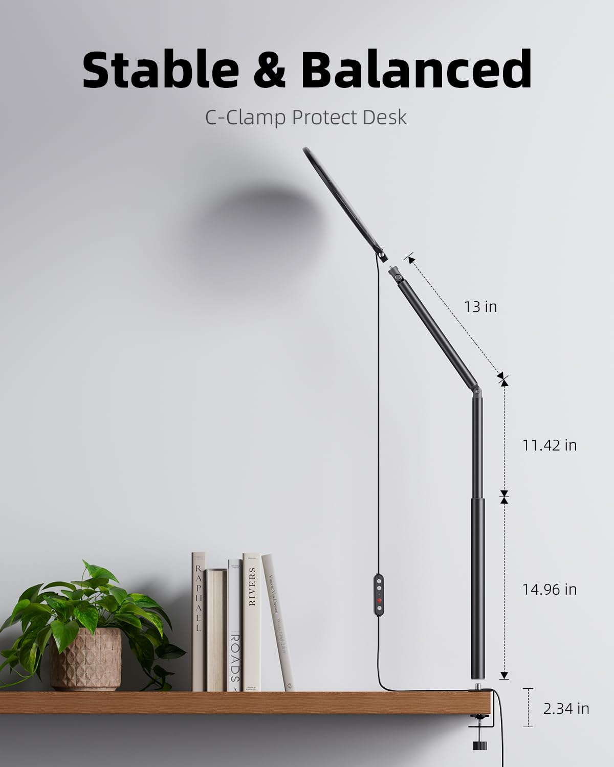 Weilisi 10.2" Desk Ring Light with C-Clamp Stand – 360° Rotating LED Lamp for Zoom, Podcast & Streaming