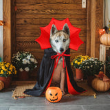 Dog Vampire Cape Costume – Black & Red Halloween Cloak for Medium and Large Dogs