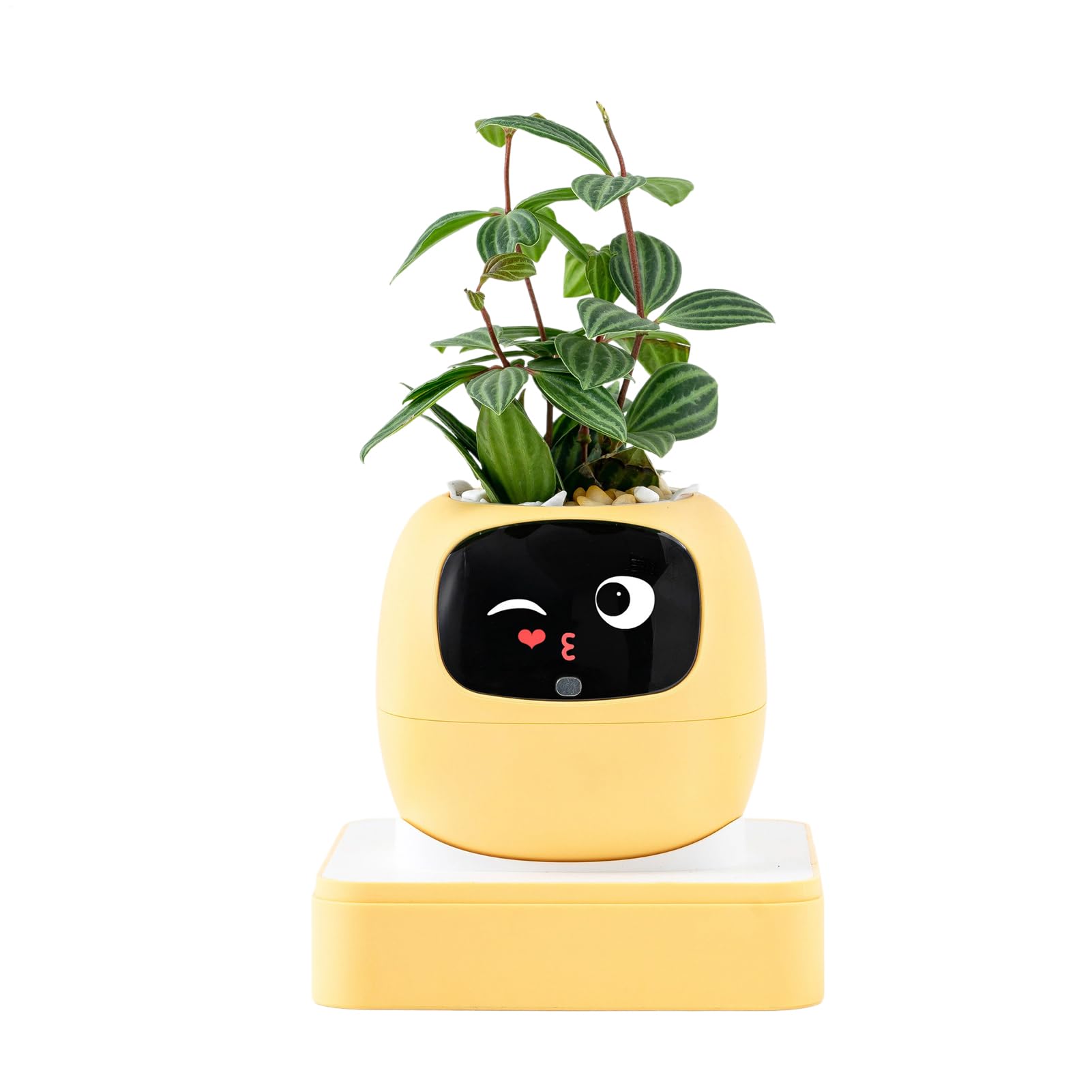 Interactive AI Smart Plant Pot with Animated Display, Gesture Recognition, and Intelligent Plant Care Assistant for Indoor Plants