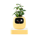 Interactive AI Smart Plant Pot with Animated Display, Gesture Recognition, and Intelligent Plant Care Assistant for Indoor Plants