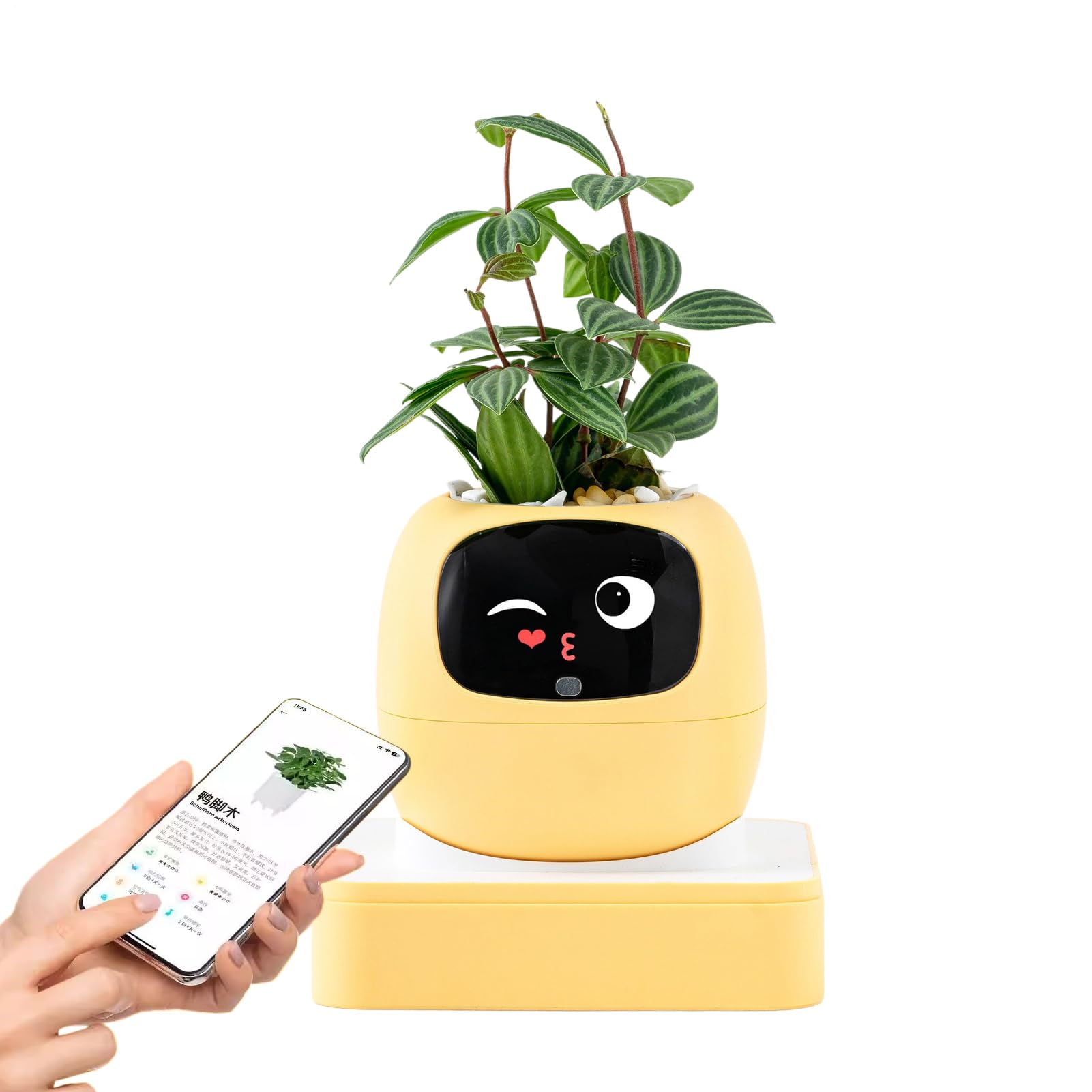 Interactive AI Smart Plant Pot with Animated Display, Gesture Recognition, and Intelligent Plant Care Assistant for Indoor Plants