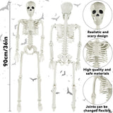 3ft Full Body Halloween Skeleton Decoration – Posable Joints, Realistic Design & Durable Plastic Build