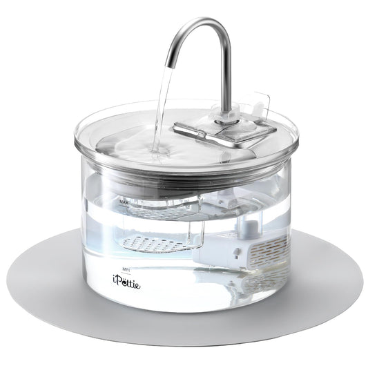 Transparent Glass & Stainless Steel Pet Water Fountain – 2L Filtered Automatic Drinking Dispenser for Cats & Small Dogs