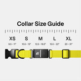 Fi Series 3+ Smart GPS Dog Tracking Collar with Real-Time Location, Escape Alerts & Health Monitoring