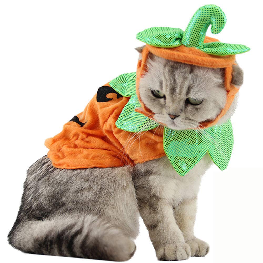 Pumpkin Pet Costume Set – Orange Halloween Outfit with Hat & Clothes for Cats and Small Dogs