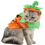 Pumpkin Pet Costume Set – Orange Halloween Outfit with Hat & Clothes for Cats and Small Dogs