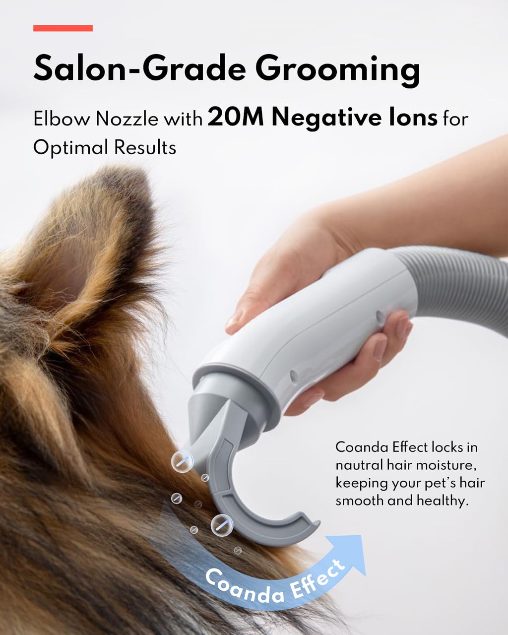 Ultra Quiet Professional Pet Dryer with Negative Ion Technology, Adjustable Wind Speeds, Smart Temperature Control, and Multiple Nozzles