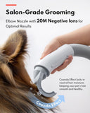 Ultra Quiet Professional Pet Dryer with Negative Ion Technology, Adjustable Wind Speeds, Smart Temperature Control, and Multiple Nozzles