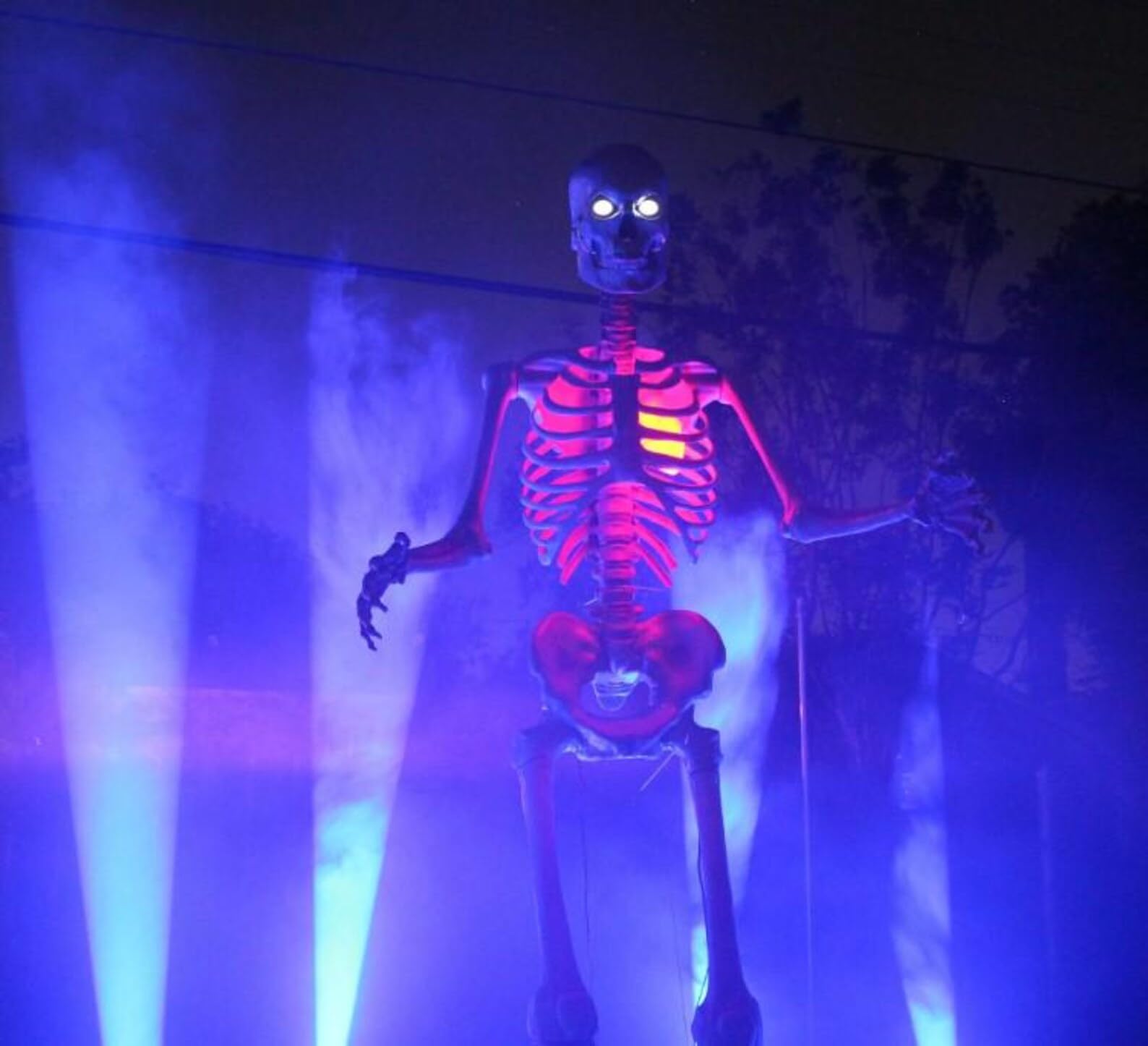 Red LED Beating Heart Prop (2-Pack) – Life-Sized Light-Up Skeleton Heart with Timer & Plug-In Power