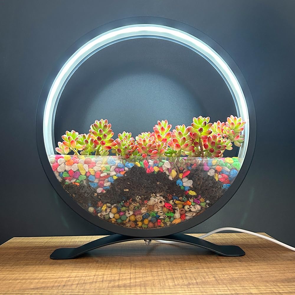 Smart RGB Plant Grow Light with Music Sync – Hydroponic Desk Garden Lamp with 60,000 Colors