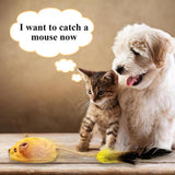 Interactive Cat Toy Mouse – USB Rechargeable Moving Mouse with LED Lights, Chirping Sound & Feather Tail for Indoor Cats