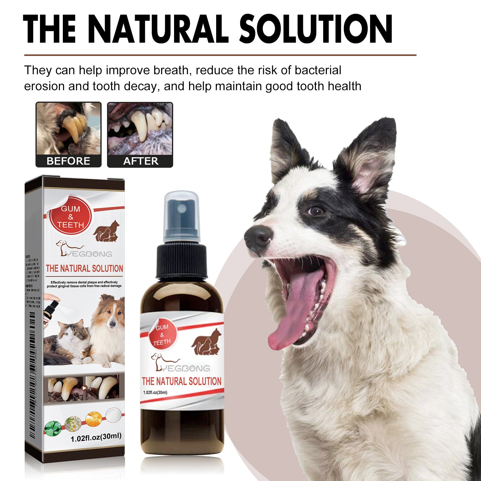 Pet Oral Cleaning Spray – Prevents Plaque & Tartar, Freshens Breath with Gentle Herbal Formula