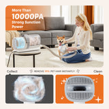 Low Noise Pet Hair Trimmer – Rechargeable Grooming Clippers for Dogs & Cats with Detachable Blades