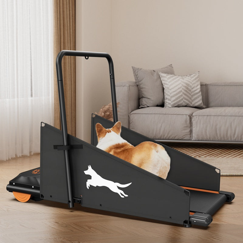 Dog Treadmill – Indoor Exercise & Training Machine for Small and Medium Dogs | DogPacer Running & Walking Fitness Equipment