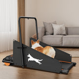 Dog Treadmill – Indoor Exercise & Training Machine for Small and Medium Dogs | DogPacer Running & Walking Fitness Equipment