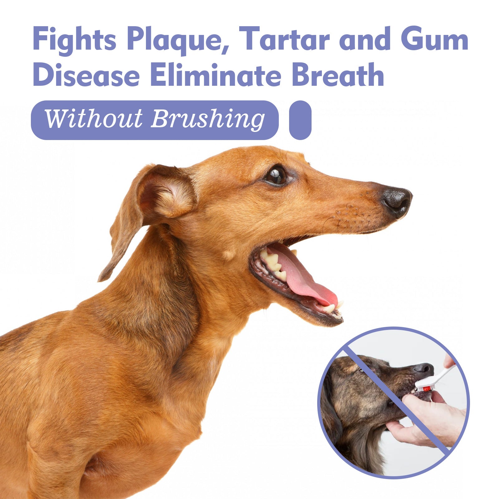 Pet Oral Care Spray – Stain Removal, Tartar Control & Breath Freshening Mist for Cats & Dogs