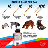 Cats & Dogs Broad‑Spectrum Herbal Deworming Drops – Safe Natural Treatment for Tapeworm, Roundworm, Hookworm & Whipworm