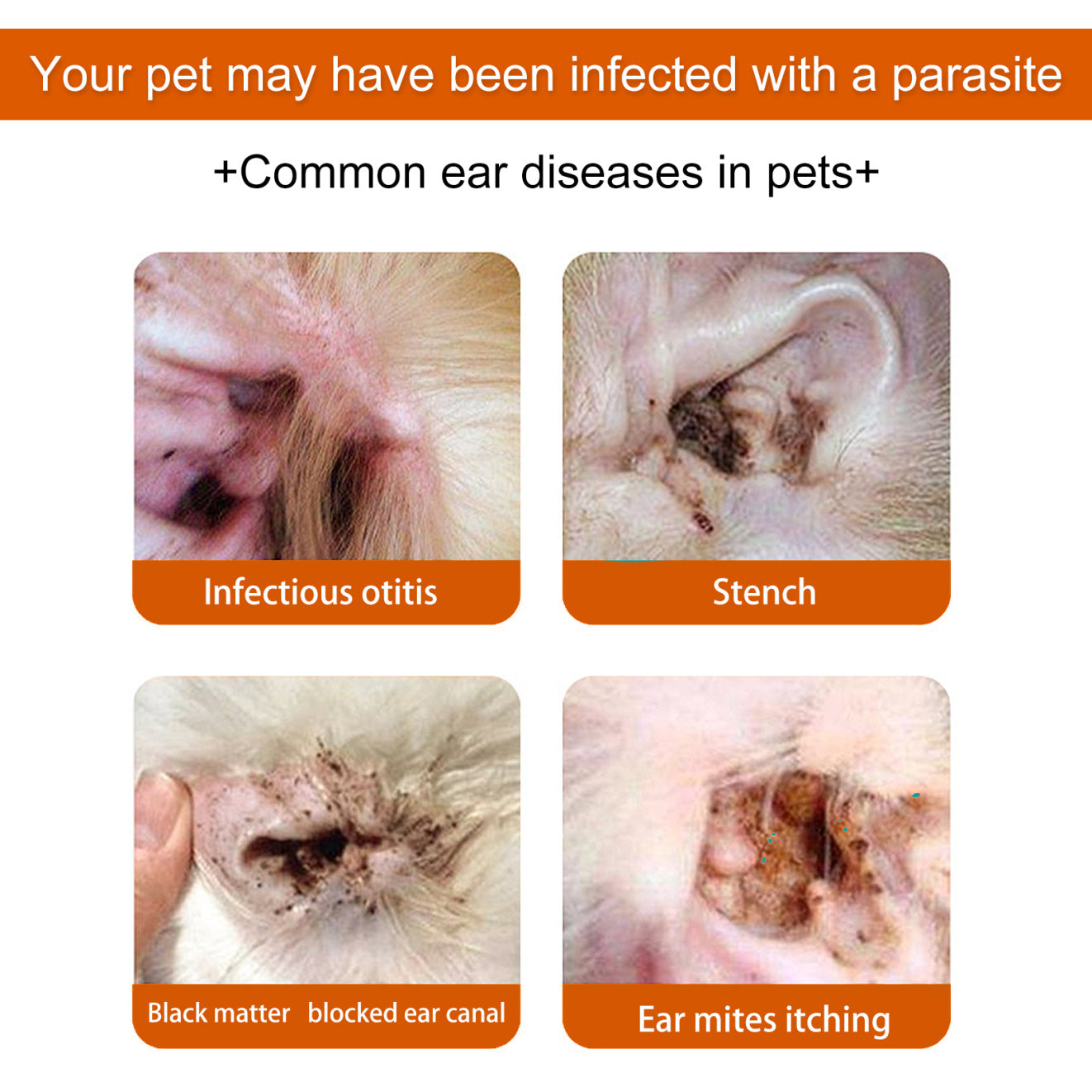 Yegbong Pet Ear Cleaning Wipes – Anti-Odor & Ear Mite Safe Cleansing Pads for Cats & Dogs