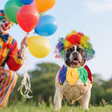 Pet Clown Costume Set – Colorful Wig & Bell Collar for Dogs and Cats (Adjustable Fit)