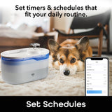 Geeni PetConnect Smart Pet Water Fountain with App Control, 2.6L Filtered Water Dispenser, and Alexa Google Assistant Integration