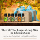 P&J Trading Halloween Fragrance Oil Set – 6 x 10ml Premium Scented Oils for Candle Making, Soap, Diffusers & Bath Products