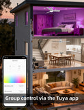 Homlit 42” Smart RGB Ceiling Fan with Music Sync, Alexa Control & Whisper-Quiet DC Motor – Silver