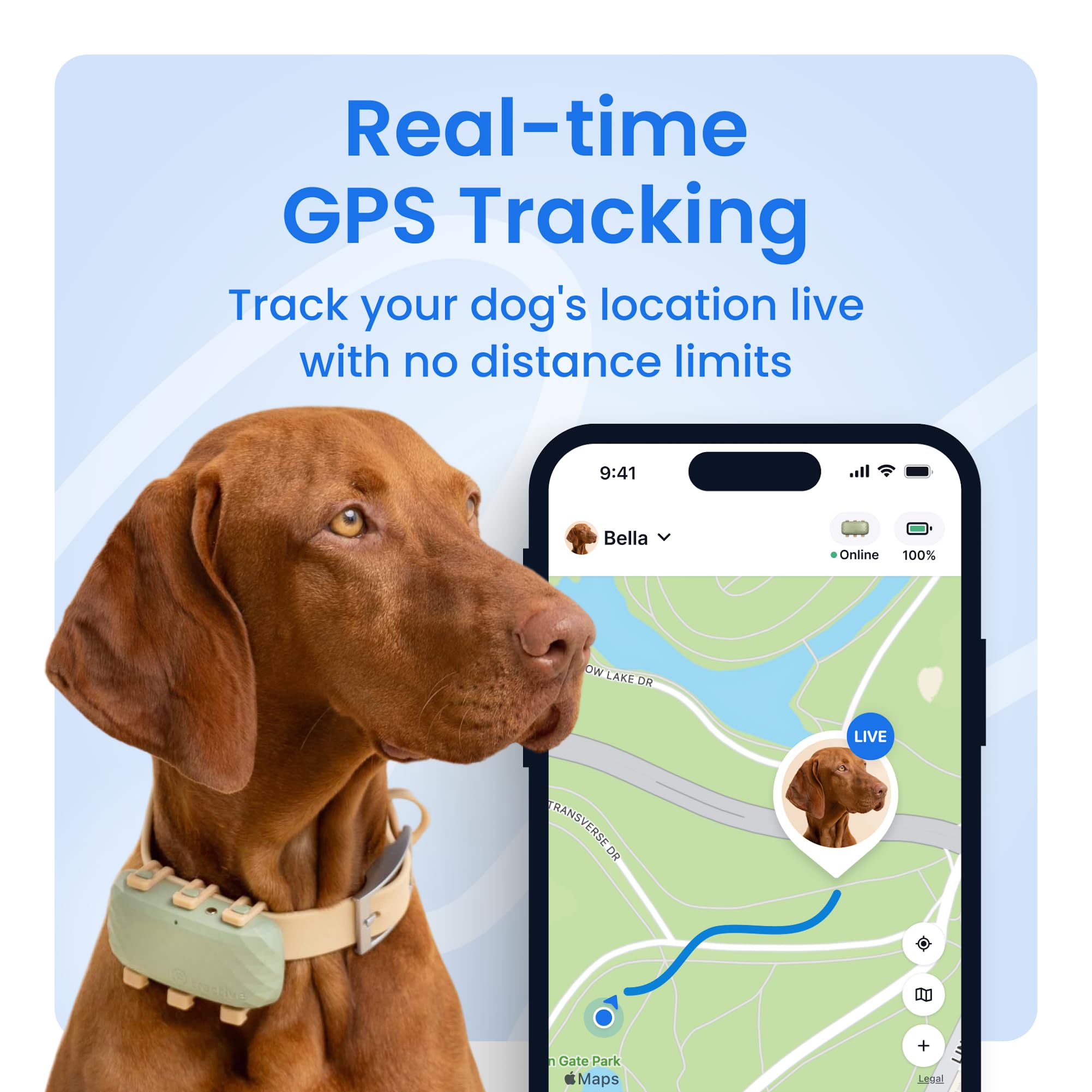 Tractive GPS Dog Tracker with Real-Time Live Tracking, Health Monitoring & Virtual Fences – Waterproof Smart Collar Device (Green)
