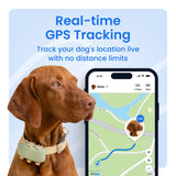 Tractive GPS Dog Tracker with Real-Time Live Tracking, Health Monitoring & Virtual Fences – Waterproof Smart Collar Device (Green)