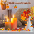 Cute 3D Pumpkin String Lights – 10FT 30 LED Battery Operated Fairy Lights for Fall, Halloween & Thanksgiving Décor
