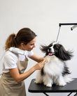 Hands-Free Pet Hair Dryer with Neck Strap, High-Speed Airflow, Negative Ion Technology, and Adjustable Heat and Speed Settings for Dogs and Cats