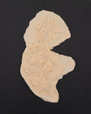 Latex Halloween Prosthetic Appliance – Unpainted Realistic FX Face Piece for Custom Makeup & Cosplay 🎭🩸