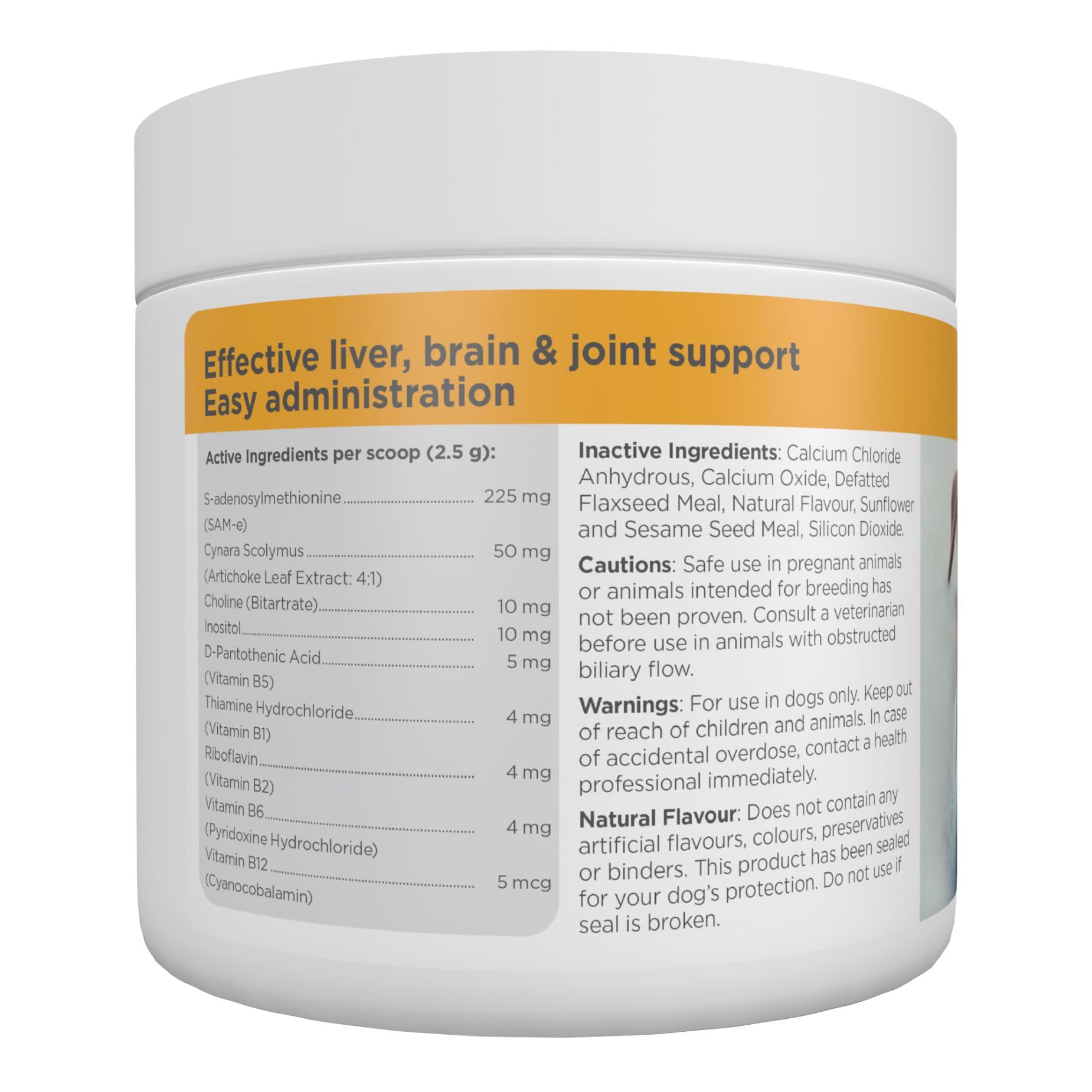 MaxxiSAMe Liver Support Powder for Dogs – SAM-e Formula for Liver Health & Cognitive Function
