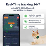 4G GPS Cat Tracker Collar Real-Time Location Waterproof Smart Pet Locator with Geo-Fence Alerts and App Control
