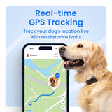 Tractive Real-Time GPS Dog Tracker with Health Monitoring & Escape Alerts – Waterproof Smart Pet Tracking Device (Black)