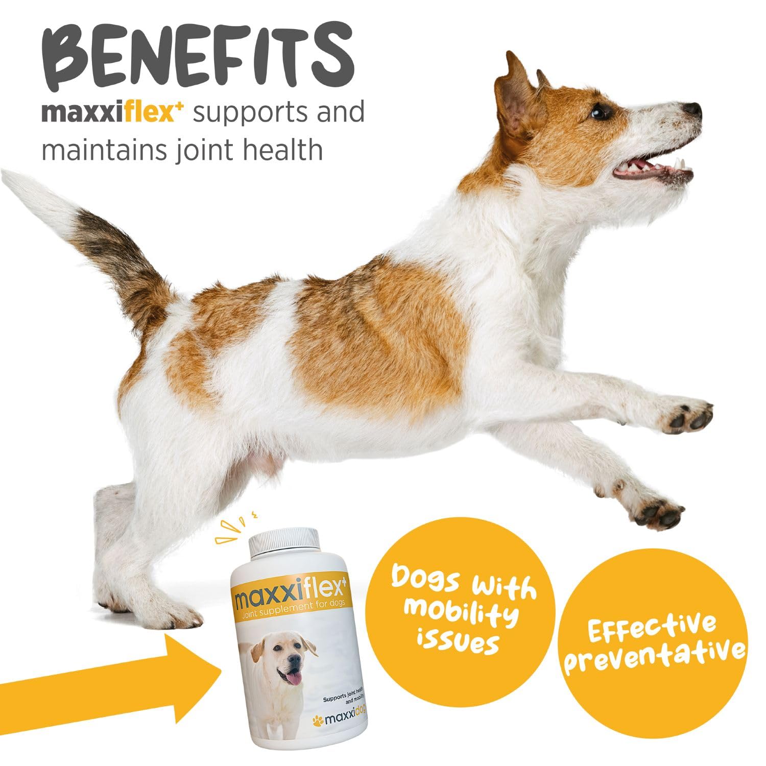 MaxxiFlex+ Advanced Joint Support Tablets for Dogs – Glucosamine, MSM & Turmeric Hip & Mobility Formula (60 Chews)