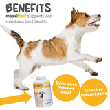 MaxxiFlex+ Advanced Joint Support Tablets for Dogs – Glucosamine, MSM & Turmeric Hip & Mobility Formula (60 Chews)
