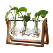 XXXFLOWER Glass Plant Terrarium with Wooden Stand 3 Bulb Hydroponic Vase Retro Tabletop Air Planter for Home Office Décor – Clear Green