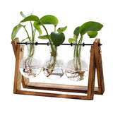 XXXFLOWER Glass Plant Terrarium with Wooden Stand 3 Bulb Hydroponic Vase Retro Tabletop Air Planter for Home Office Décor – Clear Green