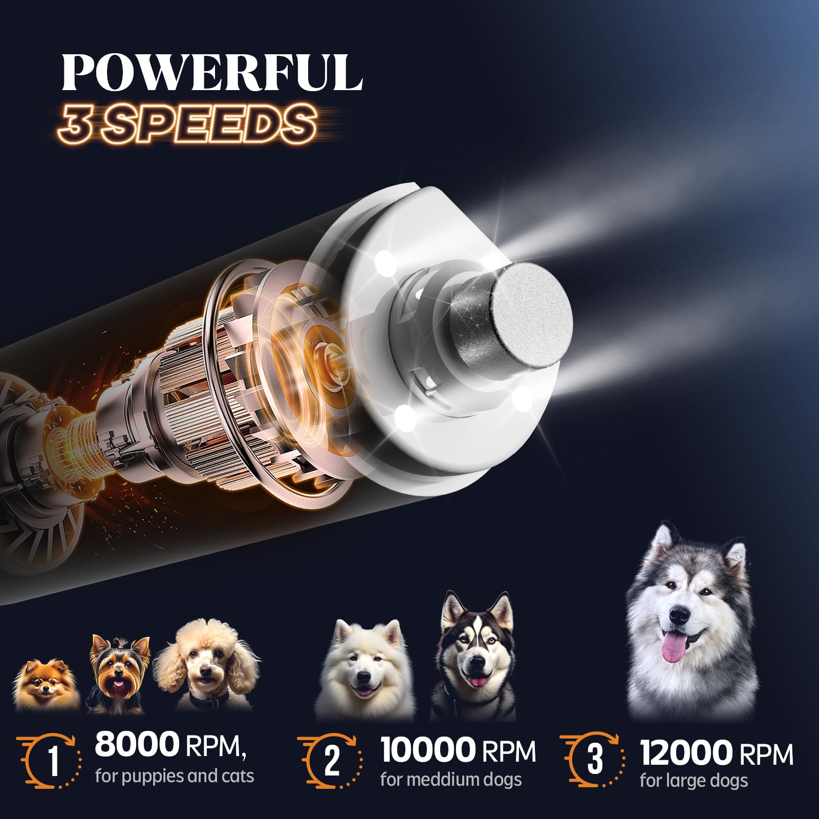 Rechargeable Dog Nail Grinder with 4 LED Lights & Type-C Charging – 3-Speed Quiet Pet Nail Trimmer (White)
