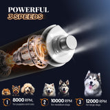 Rechargeable Dog Nail Grinder with 4 LED Lights & Type-C Charging – 3-Speed Quiet Pet Nail Trimmer (White)