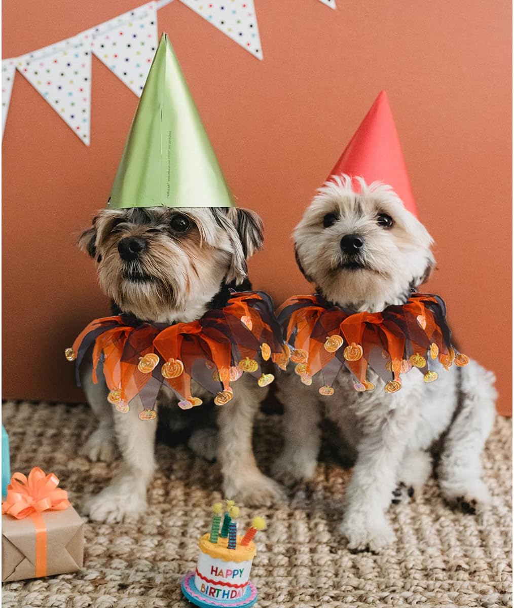 Halloween Witch Pumpkin Hat & Tutu Collar Costume for Cats and Small Dogs – Cute Pet Outfit for Halloween Parties