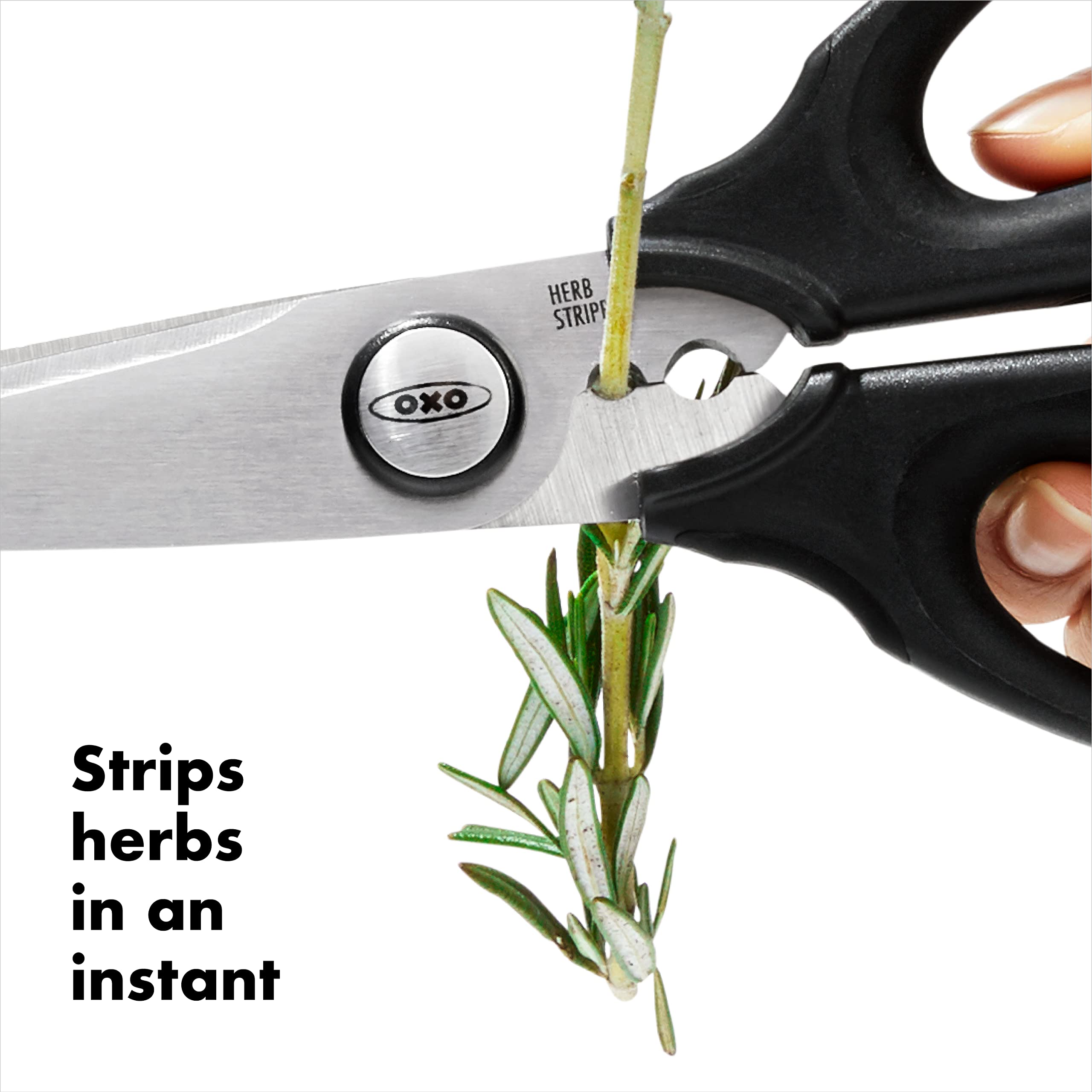 Multi-Purpose Stainless Steel Kitchen & Herb Scissors with Micro-Serrated Blades
